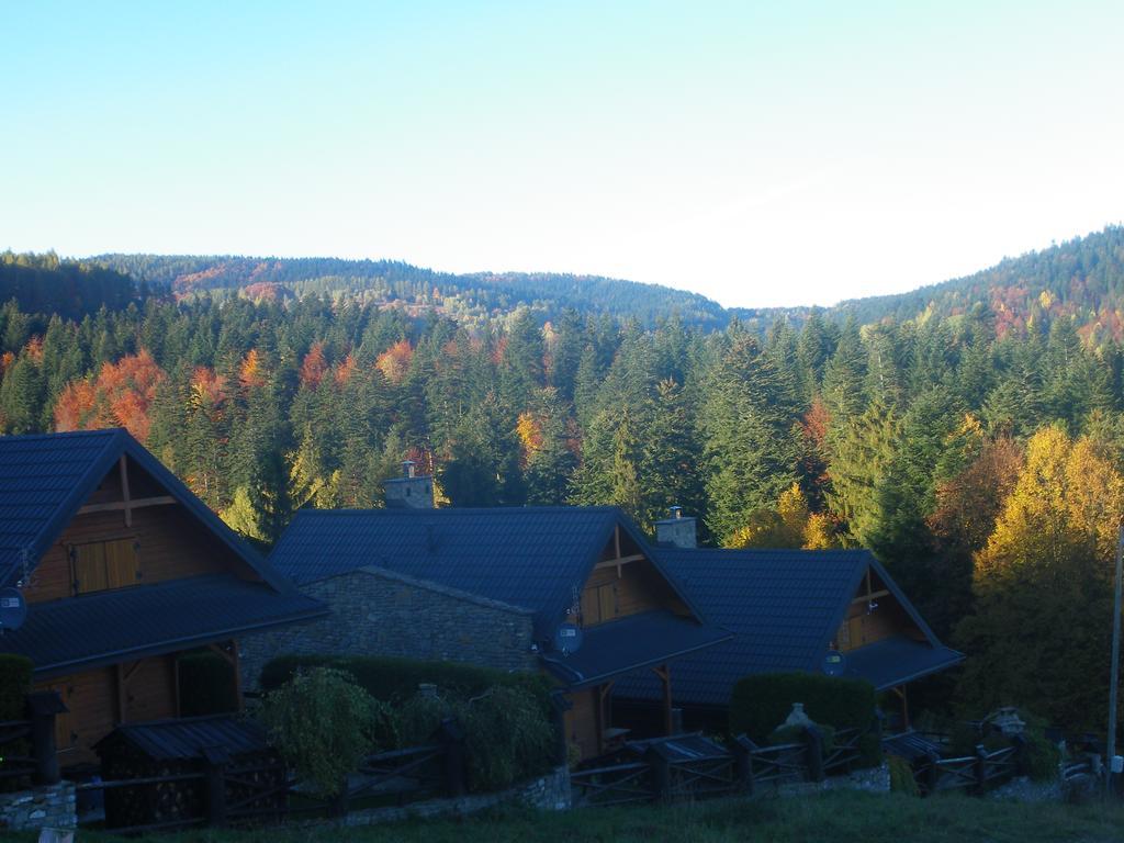 Osrodek Wypoczynkowy Ognisko Krynica Zdroj Exterior photo